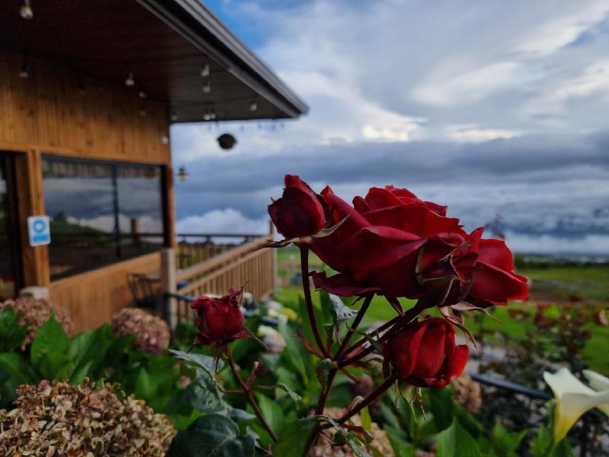 Hotel Cabanas Y Mirador Secret Garden Cr Cartago Luaran gambar