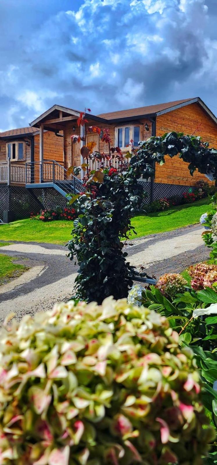 Hotel Cabanas Y Mirador Secret Garden Cr Cartago Luaran gambar